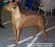 Olympe01_r.jpg (11340 octets)