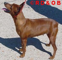 Ophelie01_fdmd_r.jpg (15218 octets)